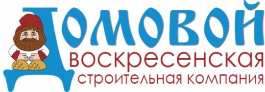 Логотип компании ВСК Домовой